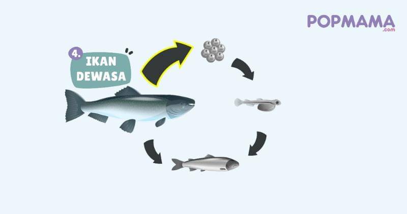 Popmama.com/Aristika Medinasari