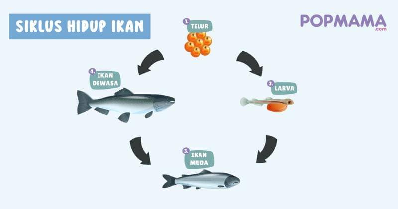 Popmama.com/Aristika Medinasari