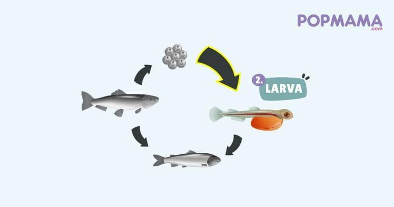 Popmama.com/Aristika Medinasari