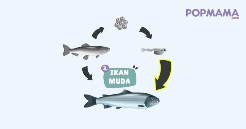 Popmama.com/Aristika Medinasari