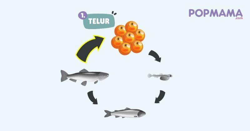 Popmama.com/Aristika Medinasari