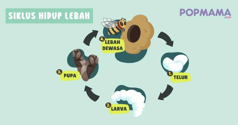 Popmama.com/Aristika Medinasari