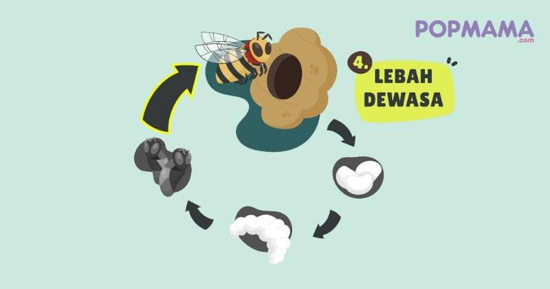 Popmama.com/Aristika Medinasari