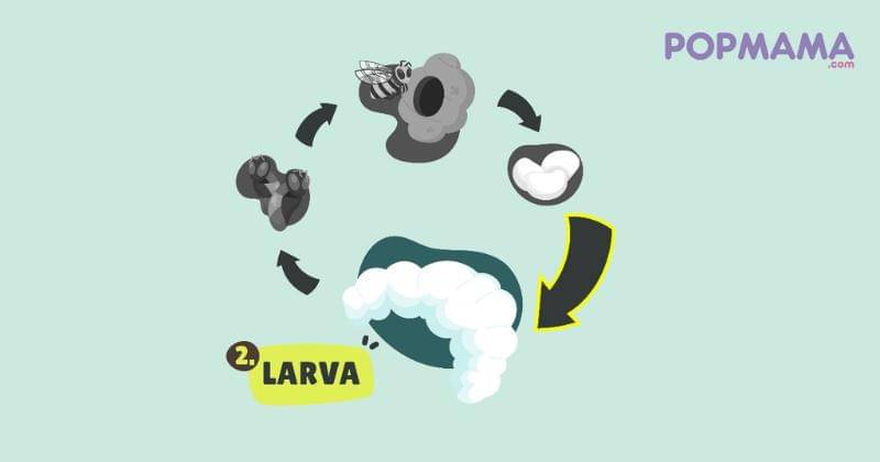 Popmama.com/Aristika Medinasari