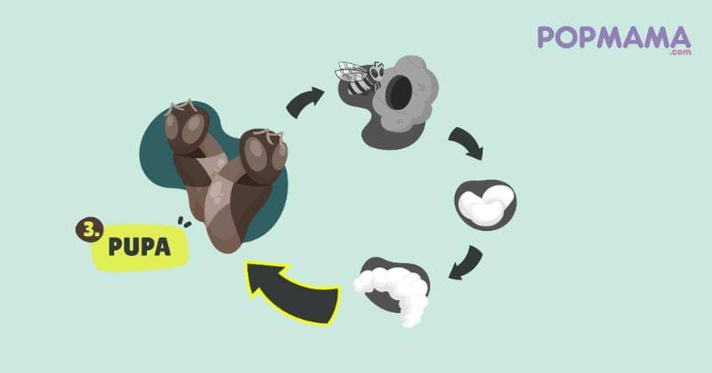 Popmama.com/Aristika Medinasari