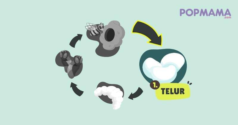 Popmama.com/Aristika Medinasari