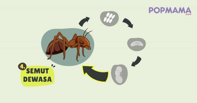 Popmama.com/Aristika Medinasari