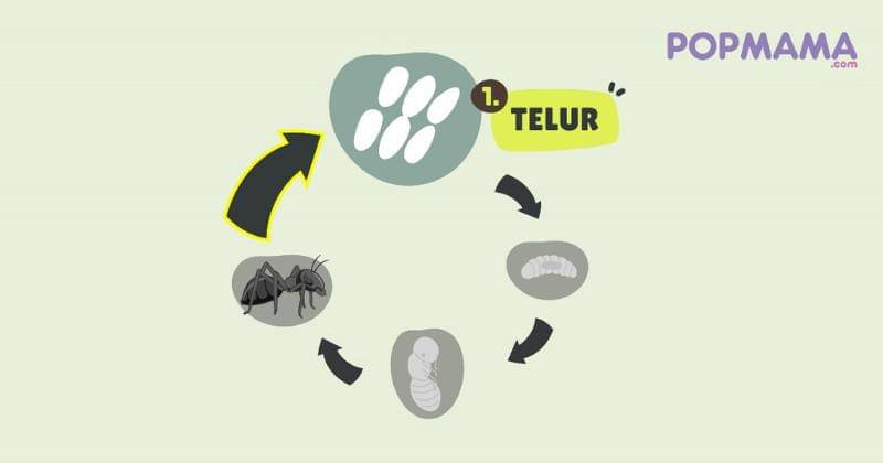 Popmama.com/Aristika Medinasari