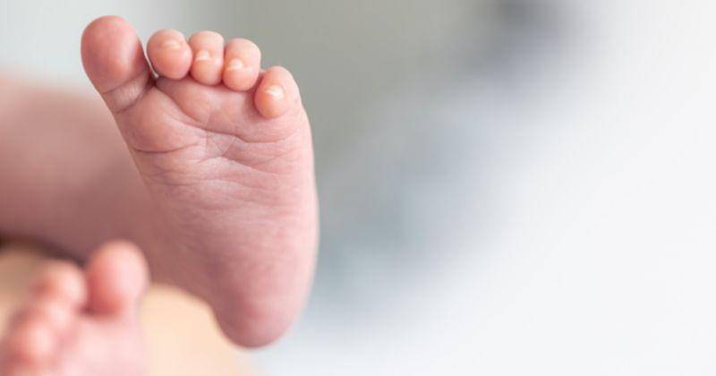 Freepik/pvproductions