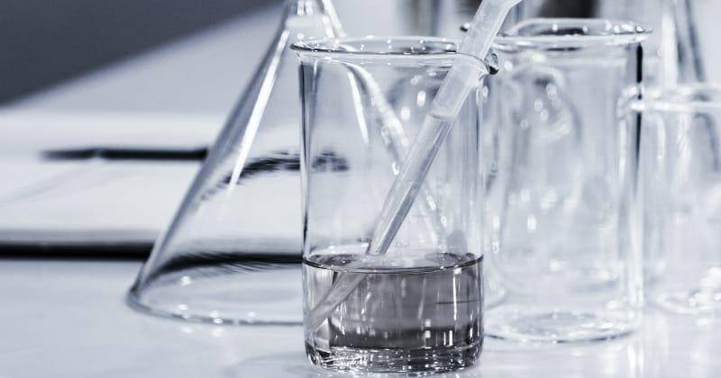 Unsplash/Hans Reniers