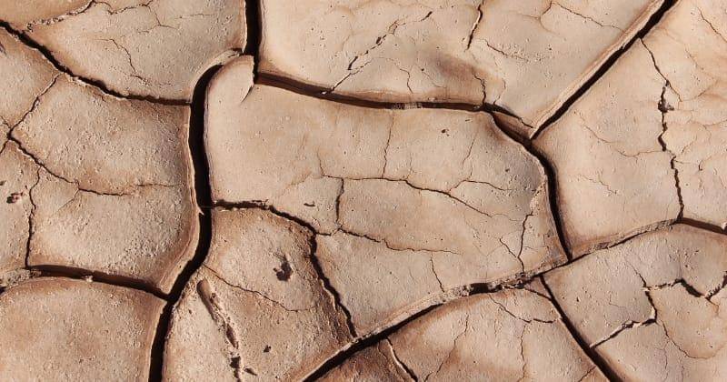 Unsplash/Bred Helmink