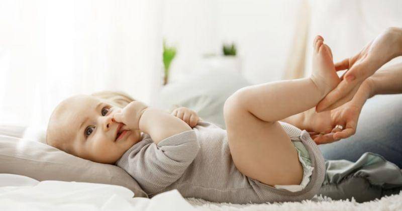 Freepik/cookie_studio