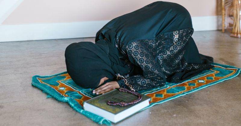 Pexels/RDNE Stock project