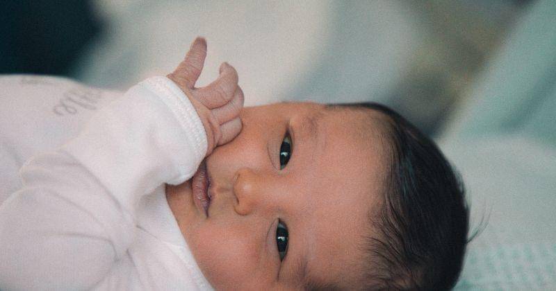 Unsplash/animalconbarba