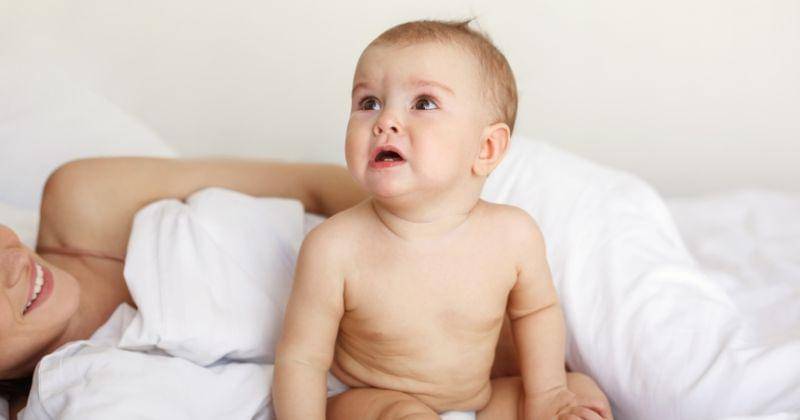 Freepik/cookie_studio