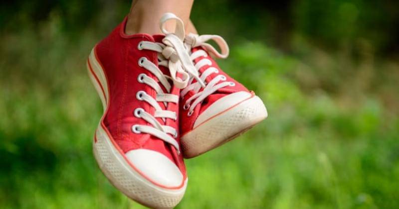 Freepik/cookie_studio