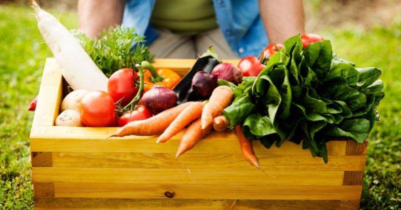 Freepik/gpointstudio