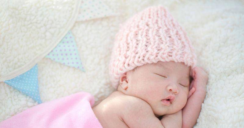 Freepik/studioredcup