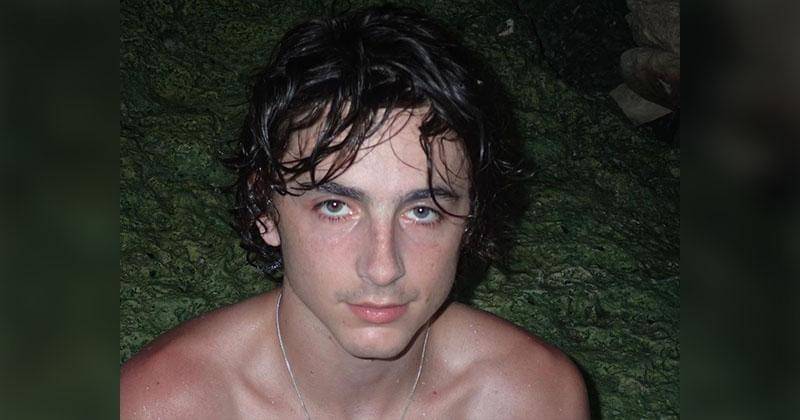 Instagram.com/tchalamet