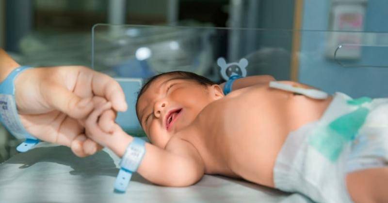 Freepik/KamranAydinov