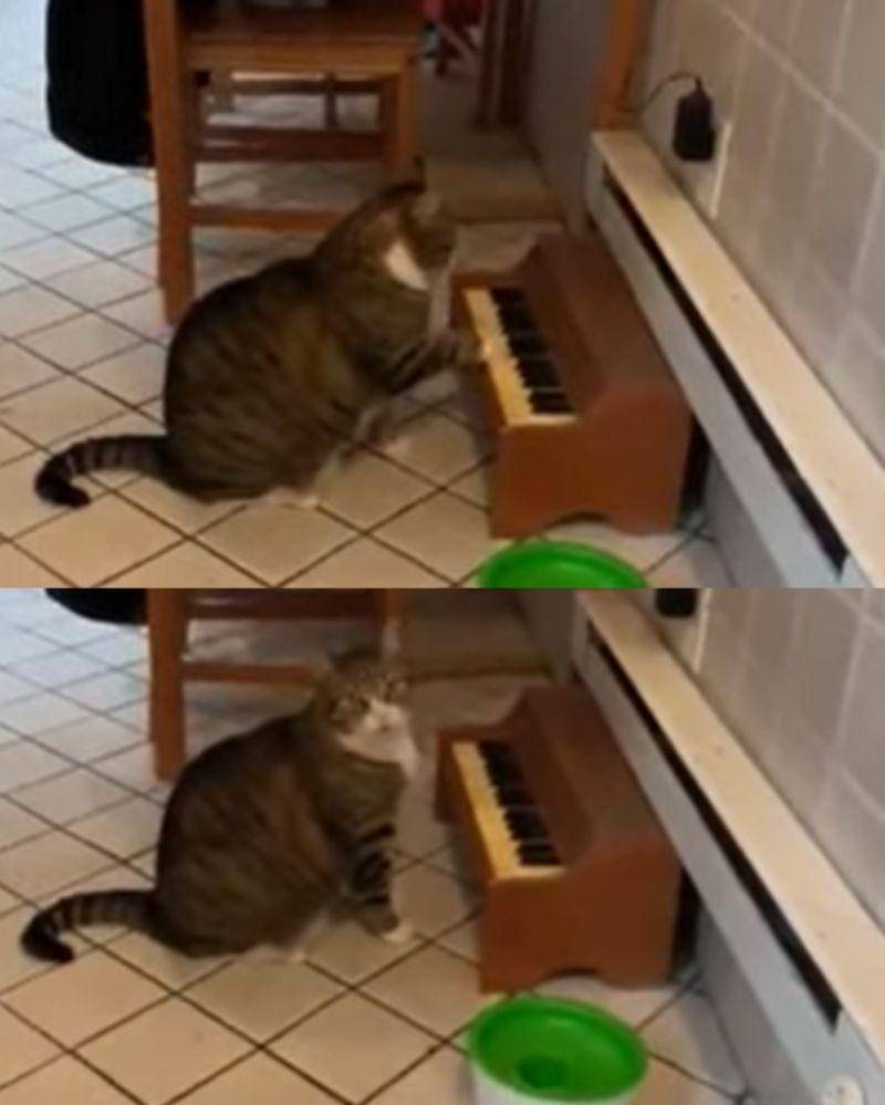 Youtube.com/kitajagakita273