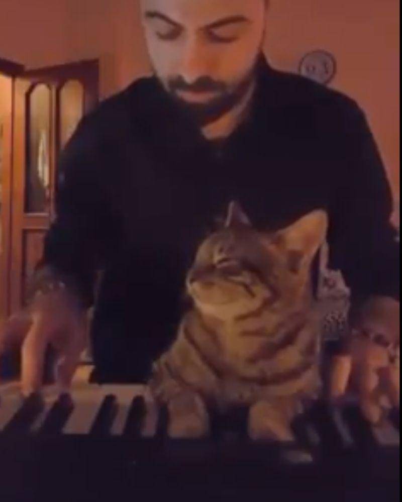 Twitter.com/shwskyfnv