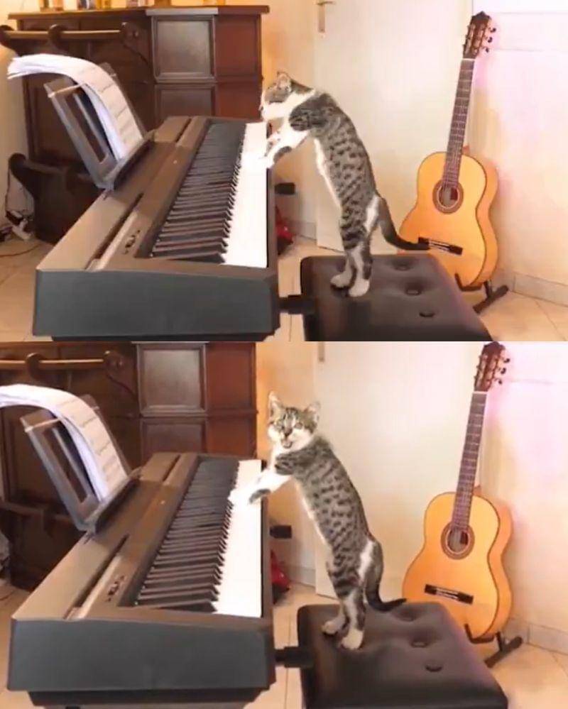 Twitter.com/BgSnezana