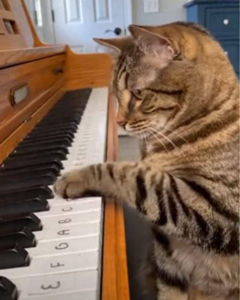 Youtube.com/rusliramdani5562