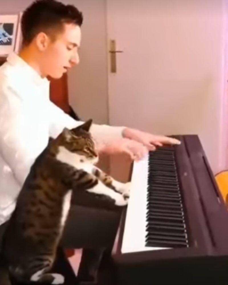 Youtube.com/rigantv4370