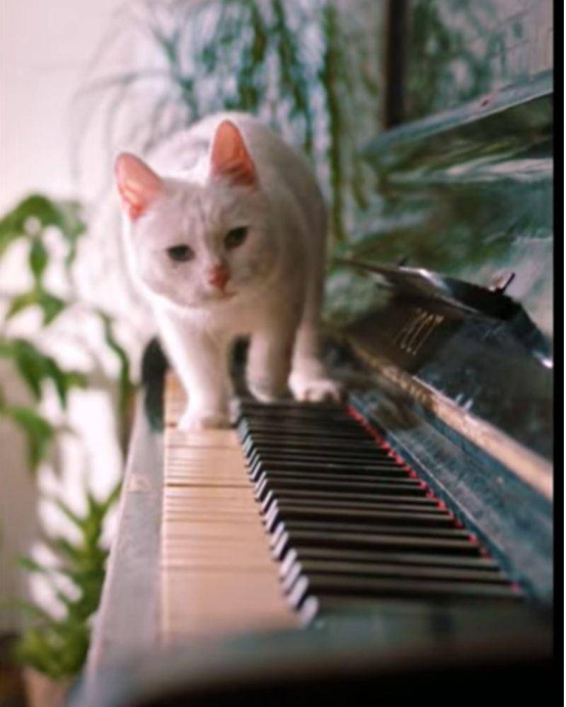 Youtube.com/onetekno888