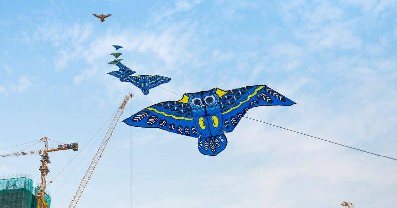 Pexels/Quang Nguyen Vinh