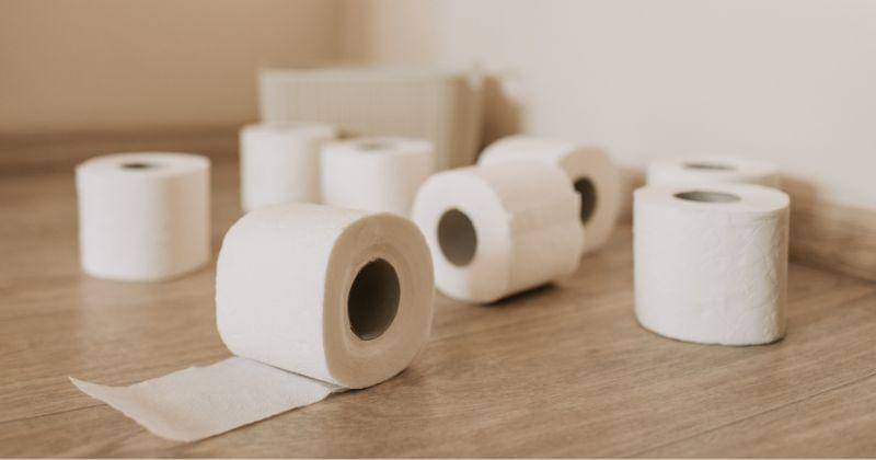 Pexels/Vlada Karpovich