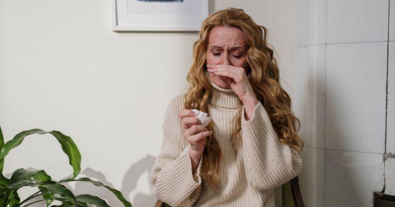 Pexels/cottonbro studio