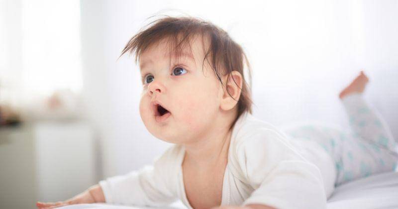 Freepik/freepic-diller