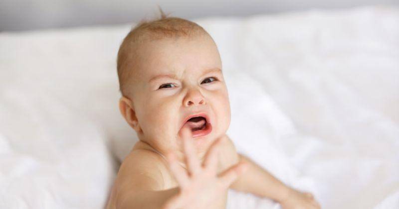 Freepik/cookie_studio