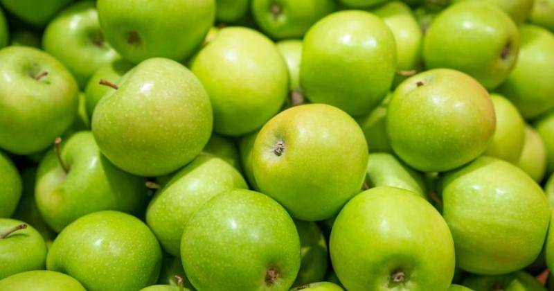 Freepik/pereslavtseva