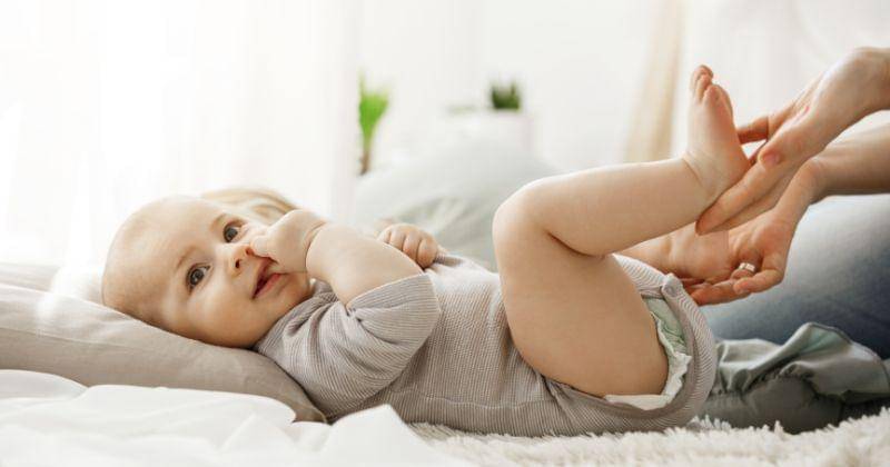 Freepik/cookie_studio