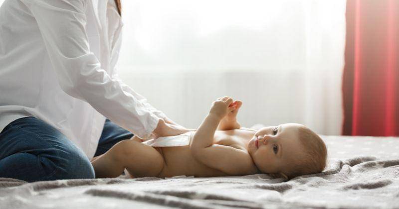 Freepik/cookie_studio