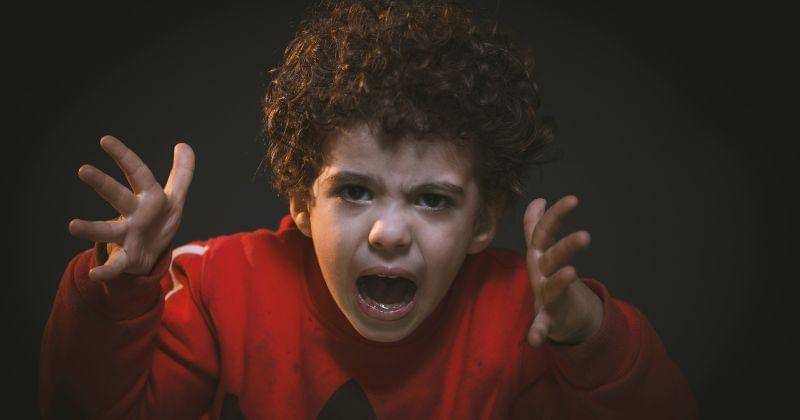 Pexels/mohamed abdelghaffar