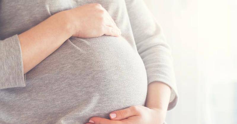 Freepik/valeria_aksakova