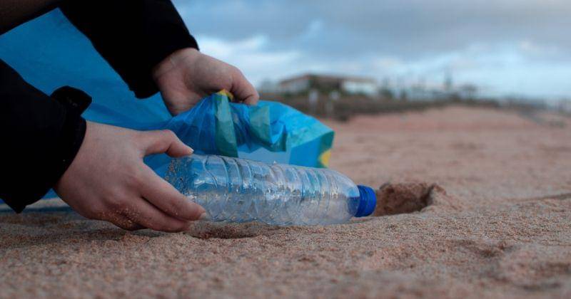 Pexels/Marti Ortigosa