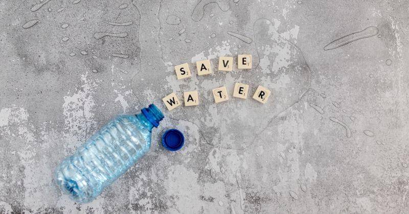 Pexels/Dominika Roseclay