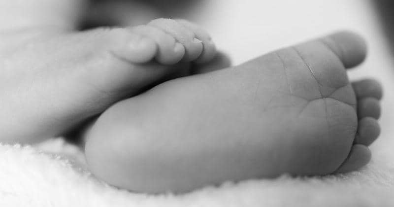 Pexels/Daniel Duarte