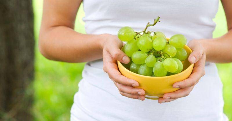 Freepik/gpointstudio