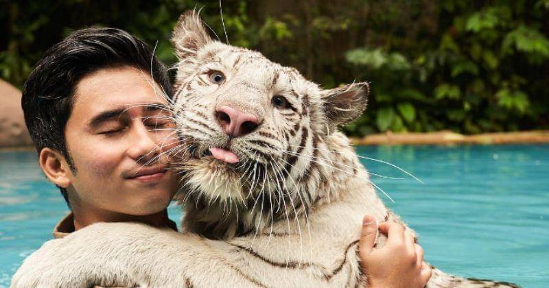 Instagram.com/alshadahmad