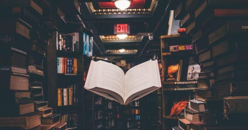 Unsplash/Jaredd Craig