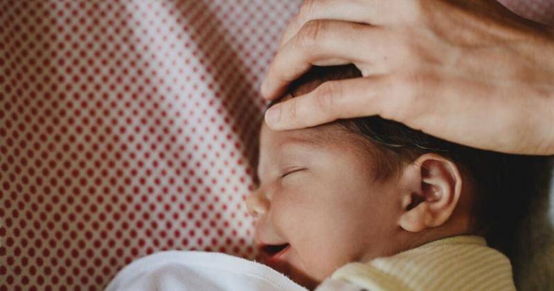 Freepik/freepic.diller