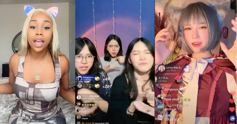 TikTok.com/pinkydollreal/editorthreeshester/usersnamesjjkjk