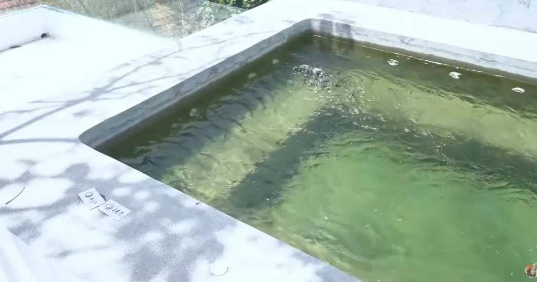 YouTube.com/Melaney Ricardo