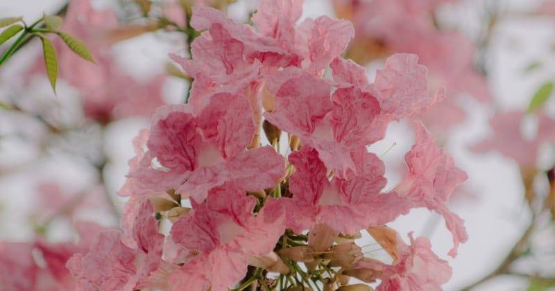 Unsplash/Kien Nguyen